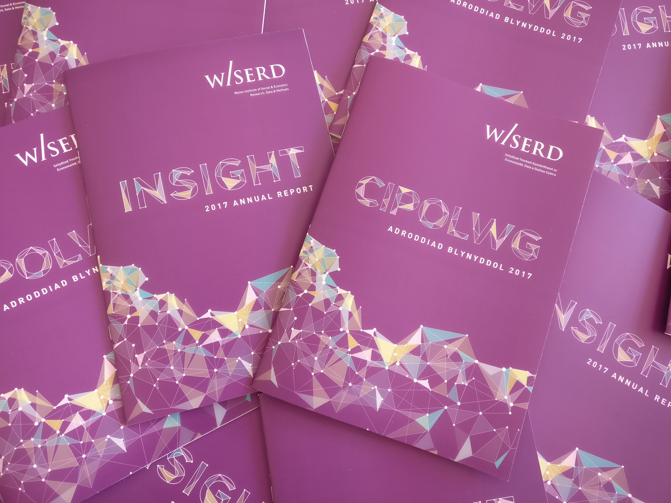 Several copies of WISERD Insight