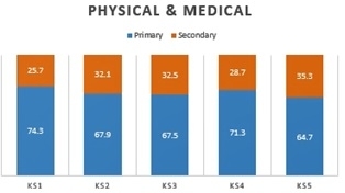 alt="Bar graph showing frequency of “primary” and “secondary” needs by key stage identification - physical and medical"