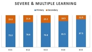 alt="Bar graph showing frequency of “primary” and “secondary” needs by key stage identification - severe and multiple learning"