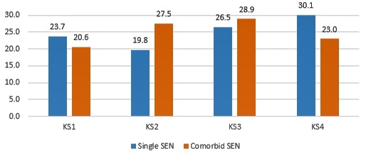 Bar graph showing Figure 1. Timing of SEN identification and comorbid SEN