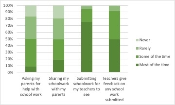 Figure 4. Other support for learning during the lockdown