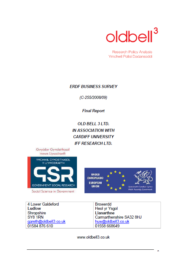 ERDF Business Survey report cover image