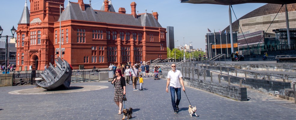People walking their dogs outside the Senedd, Cardiff Bay.