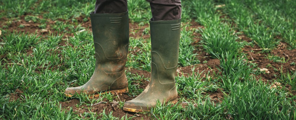 Close-up of someone wearing wellies in a muddy field.