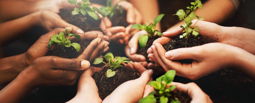 Group of people all holding seedlings.