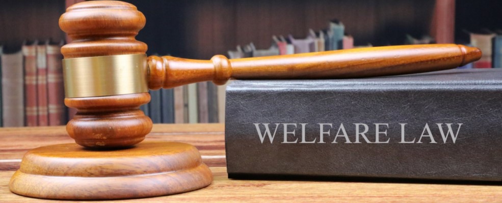 Gavel resting on a book called 'Welfare Law'